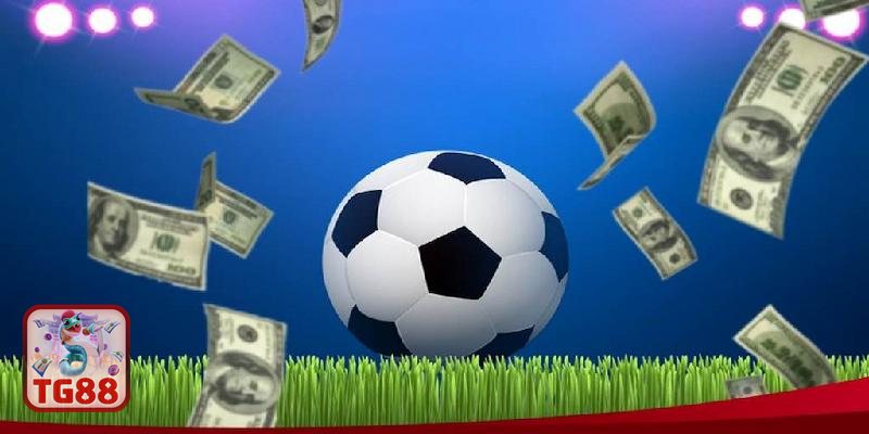 Thể thao SBO - Tổng quan nền tảng và định hướng phát triển